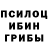 Псилоцибиновые грибы Magic Shrooms Amirlan Budanov