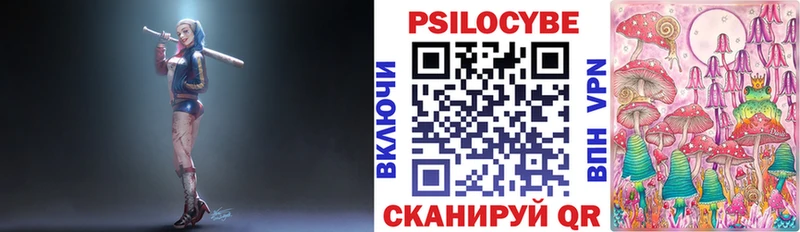 Купить  Багратионовск  Псилоцибиновые грибы Psilocybine cubensis 